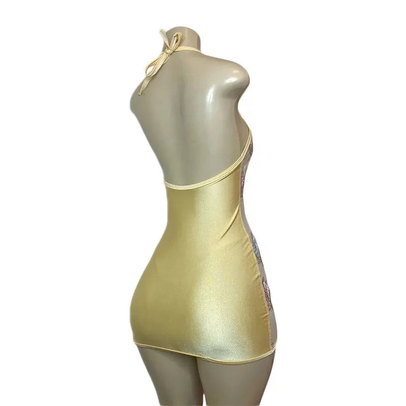 FAIRY BRAT VEIL SEE THROUGH MINI DRESS + PANTY